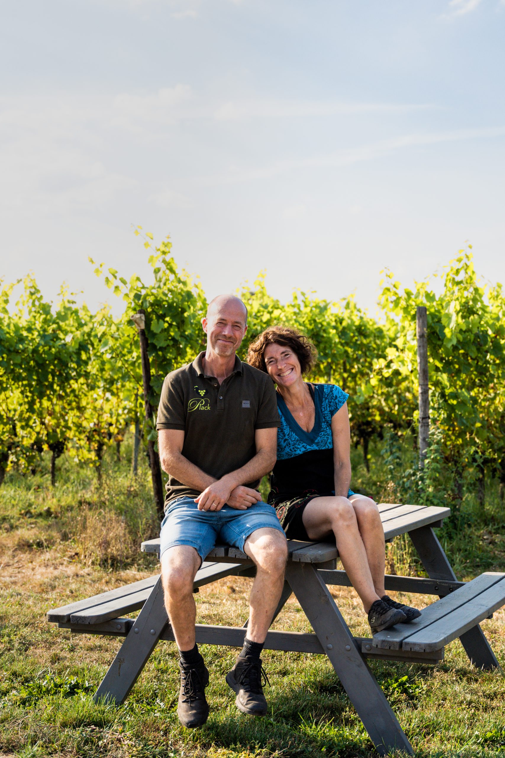 Reserveren bij Wijngaard de Plack in Groesbeek