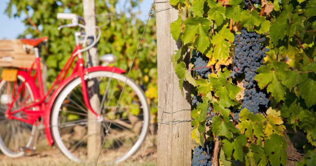 Interactieve fietstocht